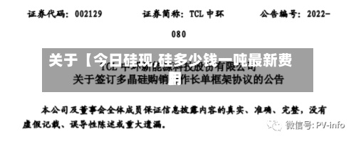 关于【今日硅现,硅多少钱一吨最新费用
】-第2张图片