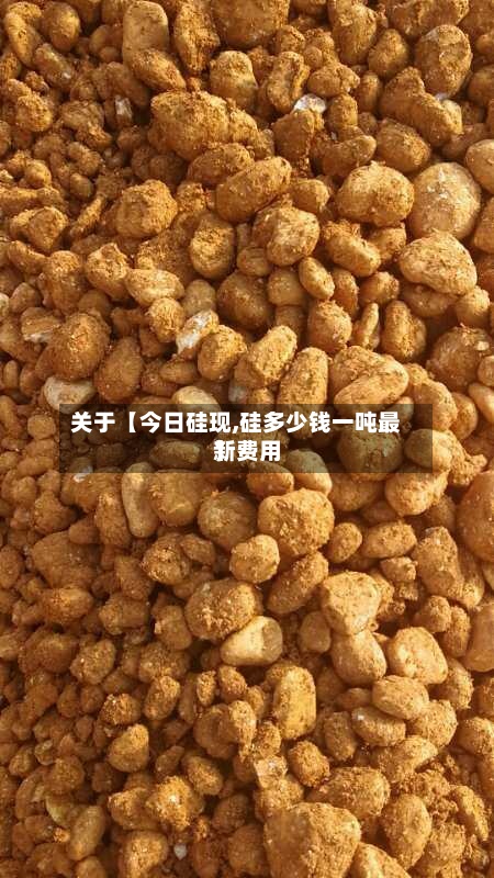 关于【今日硅现,硅多少钱一吨最新费用
】-第3张图片
