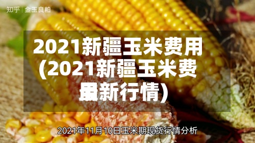2021新疆玉米费用
(2021新疆玉米费用
最新行情)-第2张图片