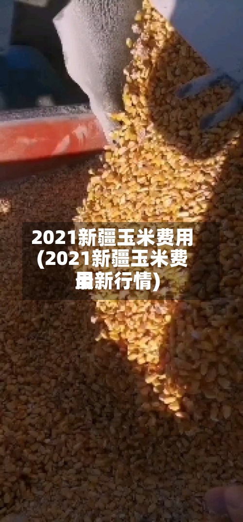 2021新疆玉米费用
(2021新疆玉米费用
最新行情)-第3张图片