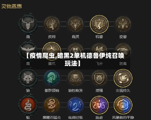 【疫情爬虫,暗黑2单机德鲁伊纯召唤玩法】-第2张图片