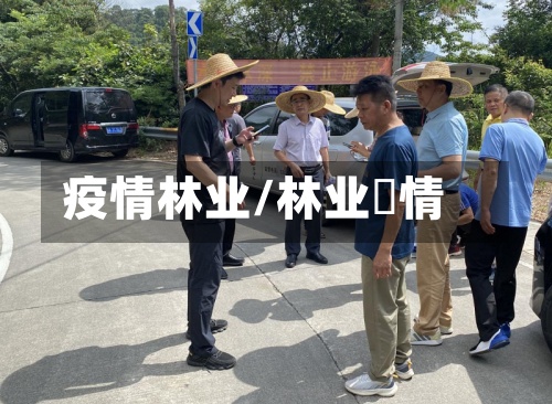 疫情林业/林业與情-第2张图片