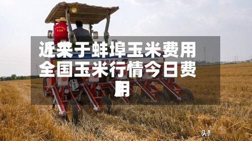 近来【关于蚌埠玉米费用全国玉米行情今日费用】