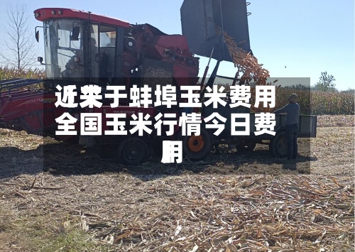 近来
【关于蚌埠玉米费用
全国玉米行情今日费用
】-第2张图片