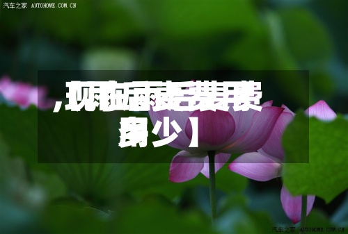 【雨后麦费用
,现在雨后麦费用
多少】-第2张图片