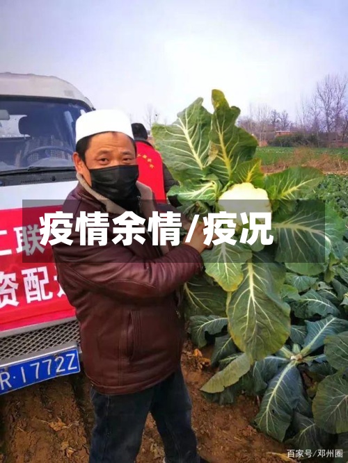 疫情余情/疫况-第2张图片