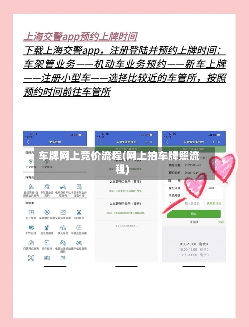 车牌网上竞价流程(网上拍车牌照流程)-第3张图片