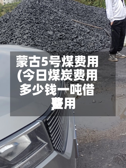 蒙古5号煤费用(今日煤炭费用多少钱一吨借鉴费用)