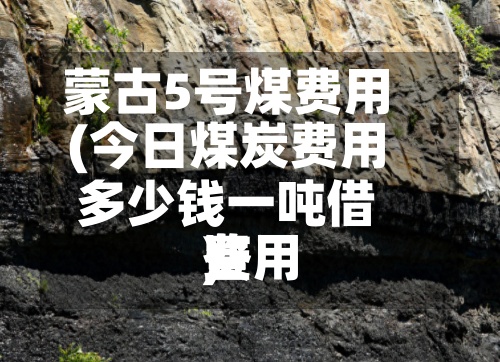 蒙古5号煤费用
(今日煤炭费用
多少钱一吨借鉴
费用
)-第2张图片