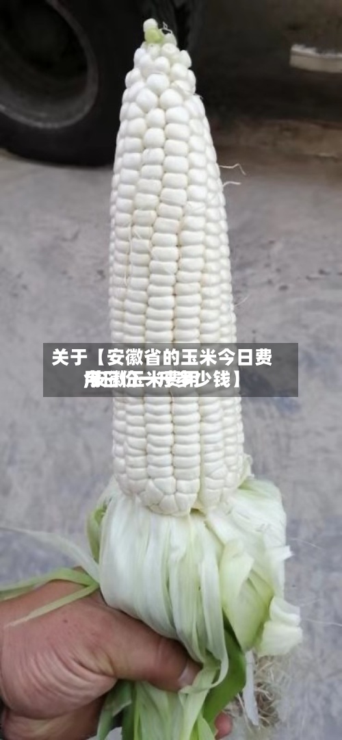 关于【安徽省的玉米今日费用
,安徽玉米费用
今日价一斤多少钱】-第2张图片