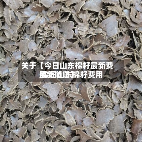 关于【今日山东棉籽最新费用
,今日山东棉籽费用
最新消息】-第3张图片