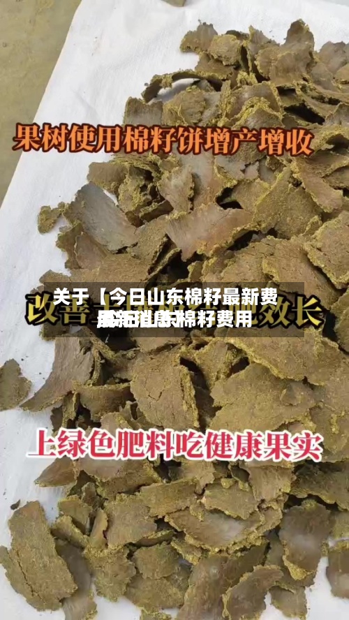 关于【今日山东棉籽最新费用
,今日山东棉籽费用
最新消息】-第2张图片