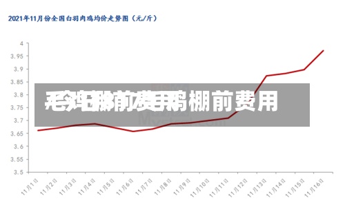 毛鸡棚前费用/今日817毛鸡棚前费用