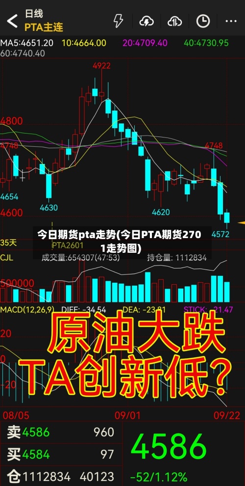 今日期货pta走势(今日PTA期货2701走势图)