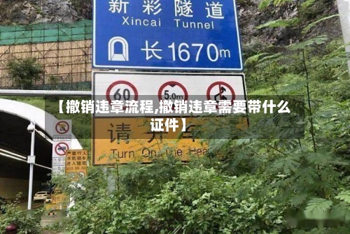 【撤销违章流程,撤销违章需要带什么证件】
