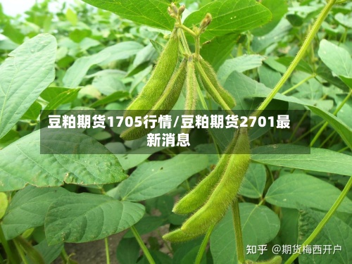 豆粕期货1705行情/豆粕期货2701最新消息-第2张图片