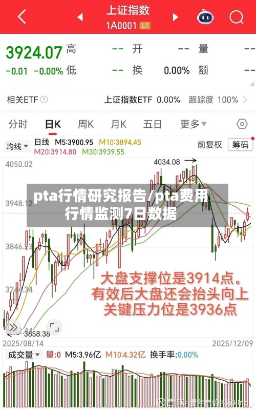 pta行情研究报告/pta费用行情监测7日数据