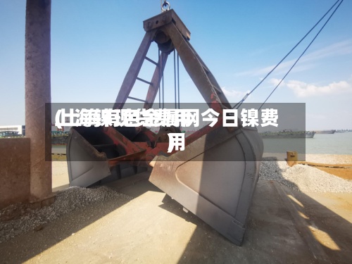 上海镍现货费用(上海有色金属网今日镍费用)