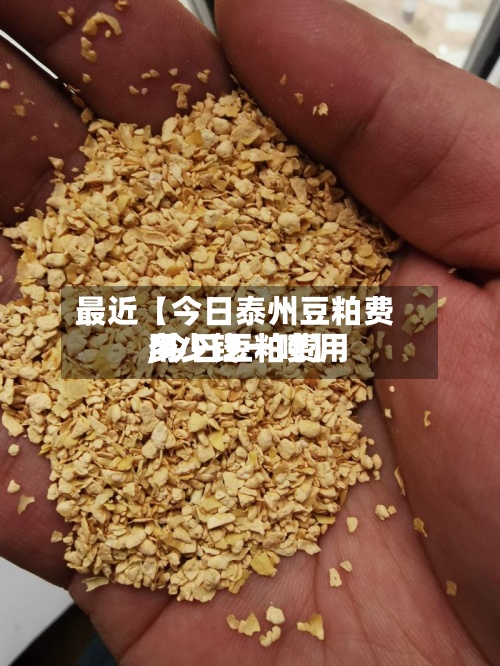 最近【今日泰州豆粕费用
,今日豆粕费用
多少钱一吨】-第2张图片