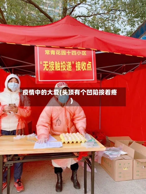 疫情中的大爱(头顶有个凹陷按着疼)-第2张图片