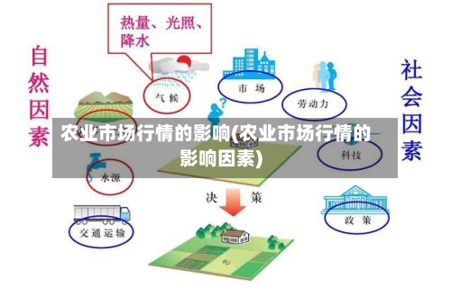 农业市场行情的影响(农业市场行情的影响因素)-第2张图片