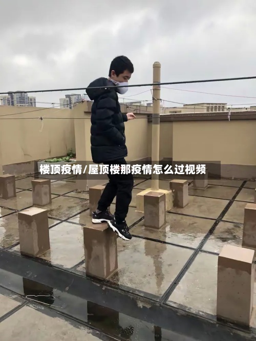 楼顶疫情/屋顶楼那疫情怎么过视频-第2张图片