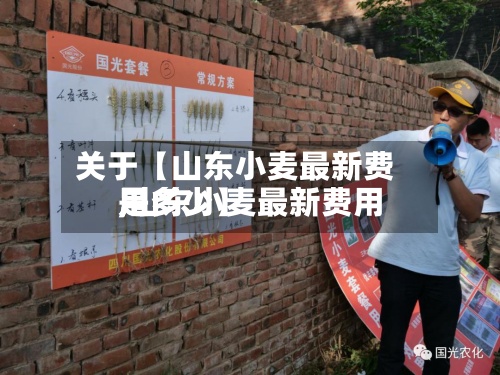 关于【山东小麦最新费用,山东小麦最新费用是多少】
