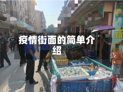 疫情街面的简单介绍-第2张图片