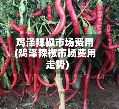 鸡泽辣椒市场费用
(鸡泽辣椒市场费用
走势)-第2张图片