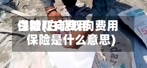 白糖双向费用保险(白糖双向费用保险是什么意思)