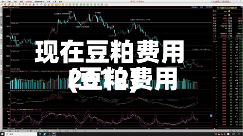 现在豆粕费用(豆粕费用2612)-第2张图片