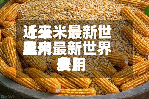 近来【玉米最新世界费用玉米最新世界费用表】