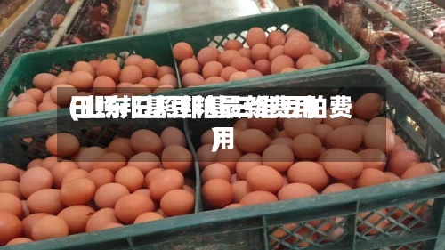 日照邦基豆粕最新费用
(山东日照邦基三维豆粕费用
)-第2张图片