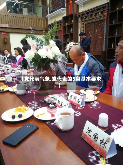 【党代表气象,党代表的5条基本要求】