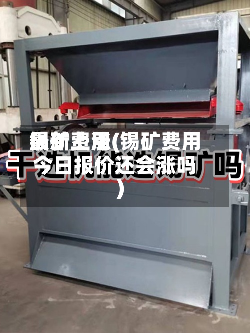锡矿费用
最新上涨(锡矿费用
今日报价还会涨吗)-第2张图片