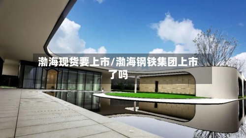 渤海现货要上市/渤海钢铁集团上市了吗-第2张图片