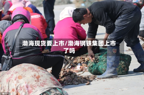 渤海现货要上市/渤海钢铁集团上市了吗-第3张图片