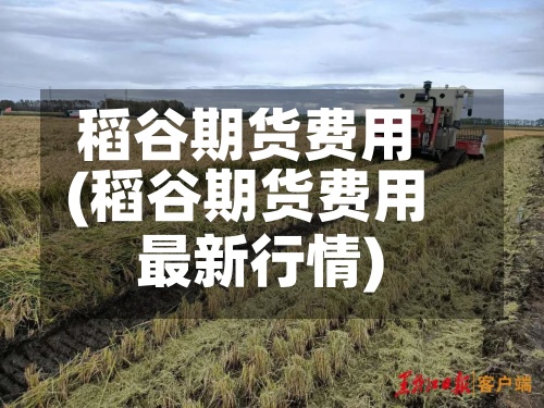 稻谷期货费用(稻谷期货费用最新行情)-第2张图片