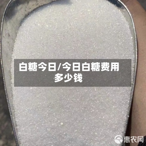 白糖今日/今日白糖费用
多少钱-第3张图片