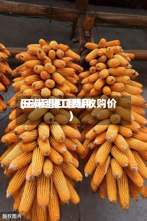 玉米到港口费用
(玉米港口最新收购价)-第3张图片