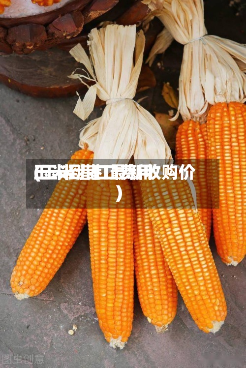 玉米到港口费用(玉米港口最新收购价)