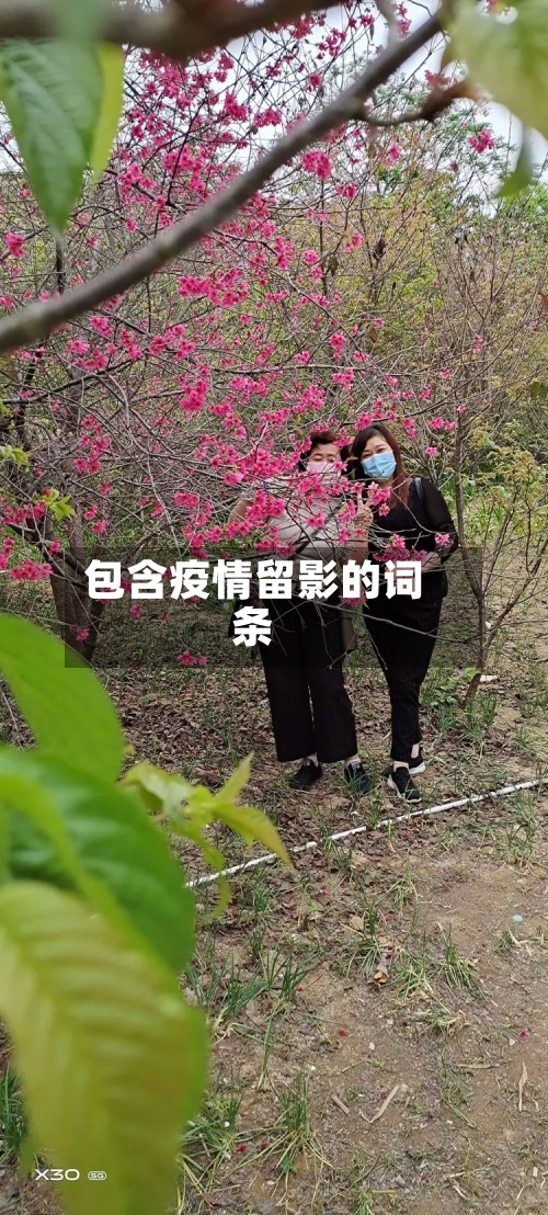 包含疫情留影的词条