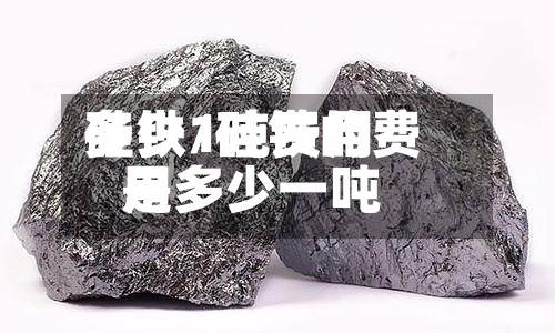硅铁1吨费用多少/硅铁的费用是多少一吨-第2张图片