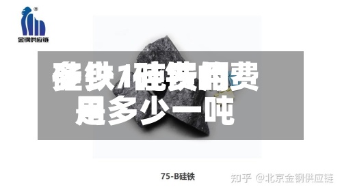 硅铁1吨费用多少/硅铁的费用是多少一吨-第3张图片