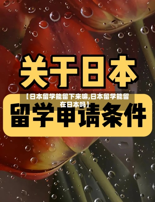 【日本留学能留下来嘛,日本留学能留在日本吗】-第2张图片