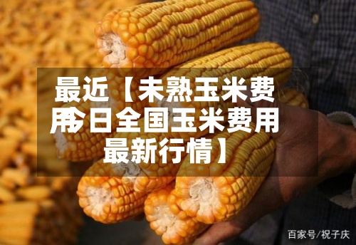 最近【未熟玉米费用,今日全国玉米费用最新行情】