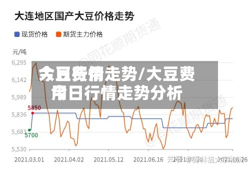 大豆费用今日行情走势/大豆费用今日行情走势分析