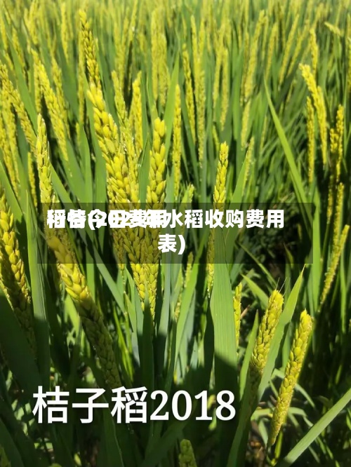 稻谷今日费用行情(2025年水稻收购费用表)