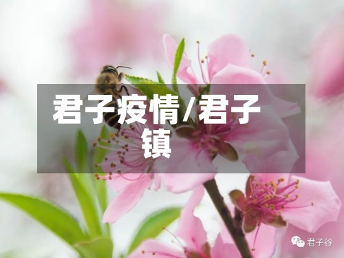 君子疫情/君子镇