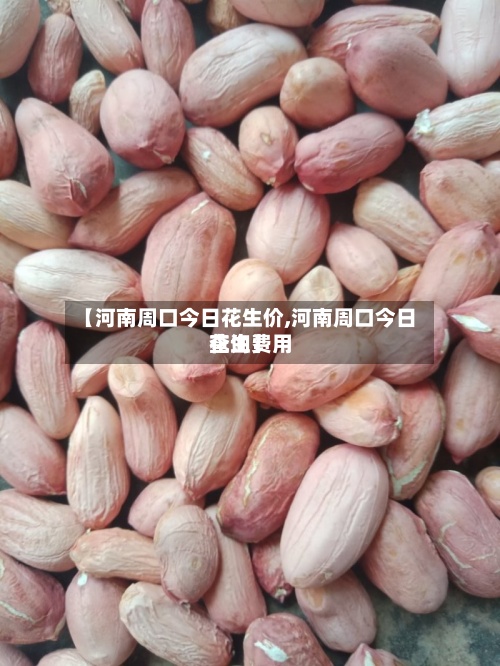 【河南周口今日花生价,河南周口今日花生费用
查询】-第2张图片